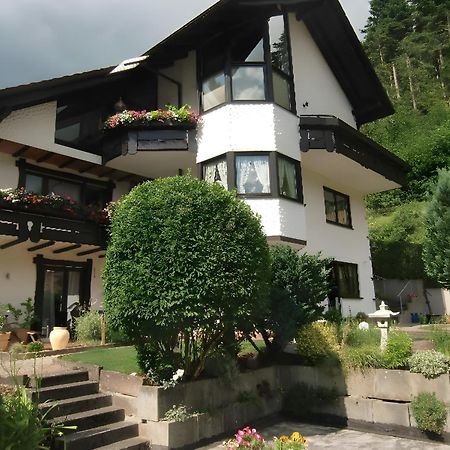 Ferienwohnung Uli Schaetzle Hornberg Dış mekan fotoğraf
