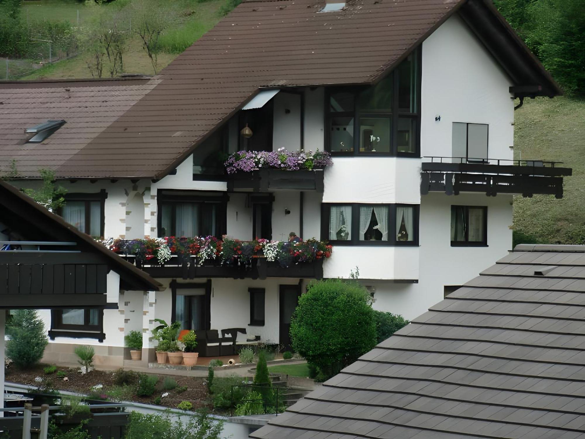 Ferienwohnung Uli Schaetzle Hornberg Dış mekan fotoğraf