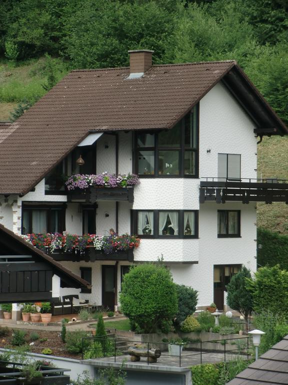 Ferienwohnung Uli Schaetzle Hornberg Dış mekan fotoğraf