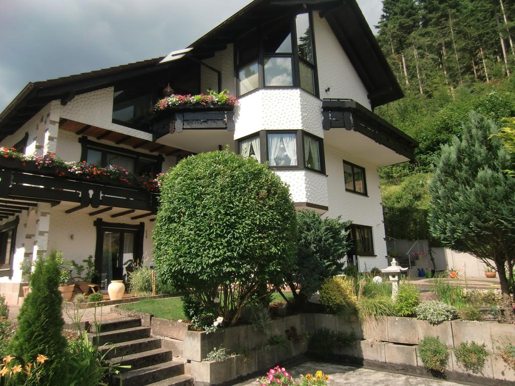 Ferienwohnung Uli Schaetzle Hornberg Dış mekan fotoğraf