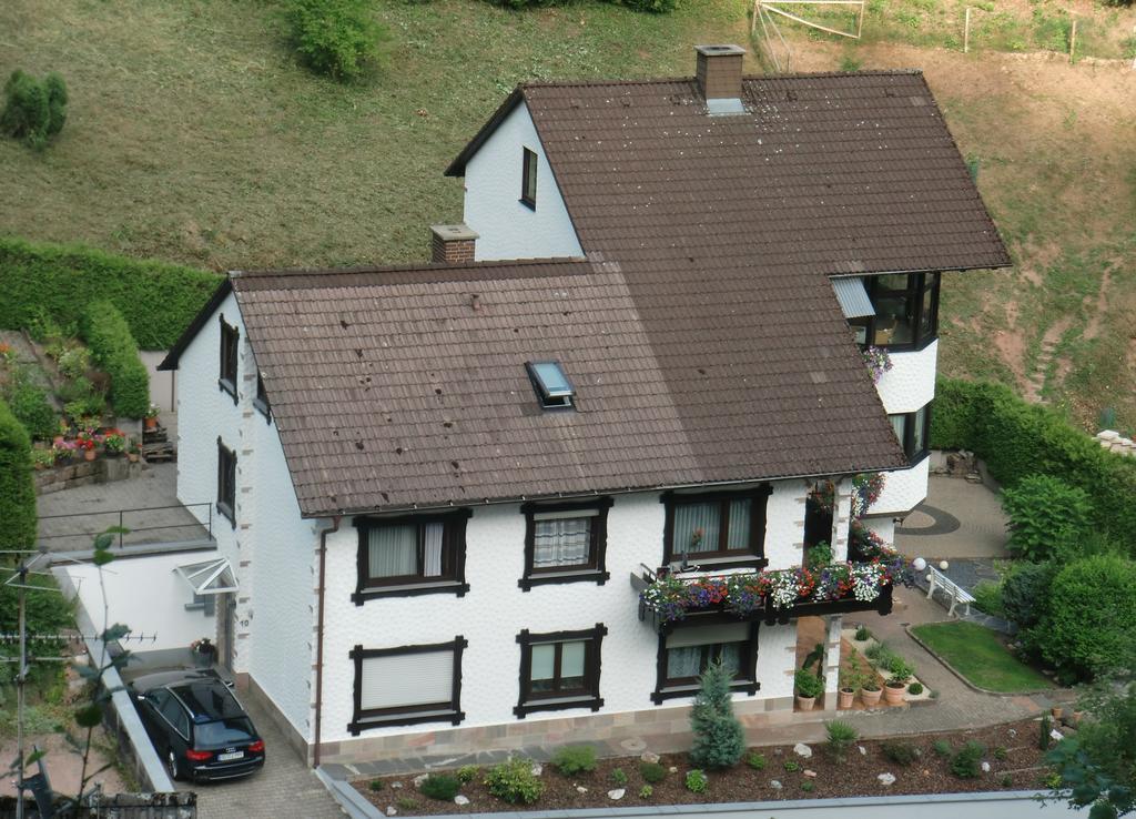 Ferienwohnung Uli Schaetzle Hornberg Dış mekan fotoğraf
