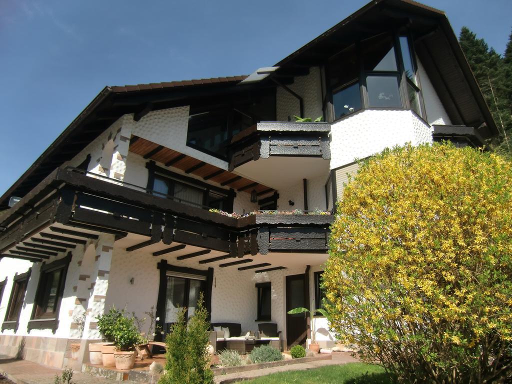 Ferienwohnung Uli Schaetzle Hornberg Dış mekan fotoğraf
