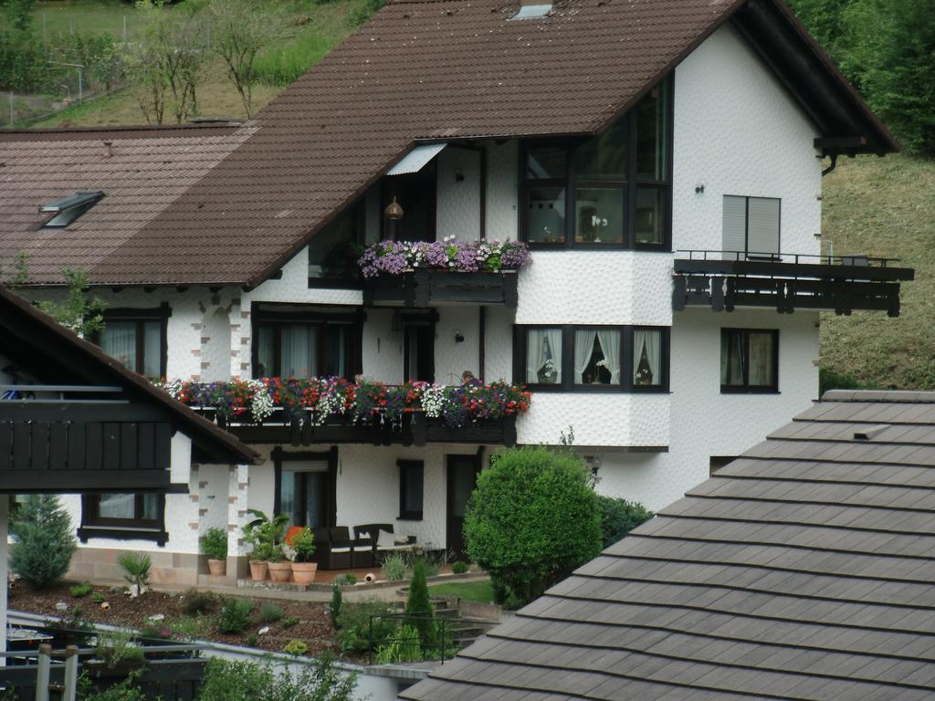 Ferienwohnung Uli Schaetzle Hornberg Dış mekan fotoğraf